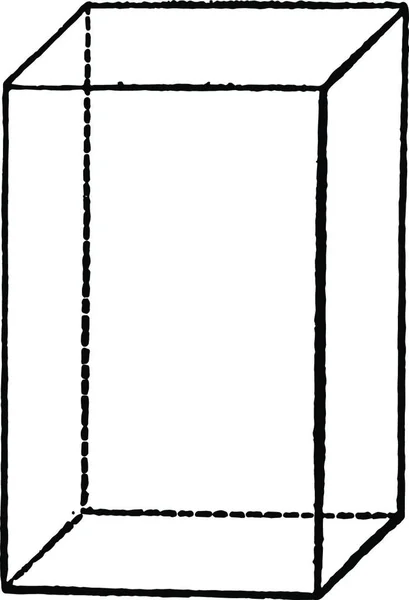 Parallelopipedon Černobílý Vinobraní Vektor Ilustrace — Stockový vektor