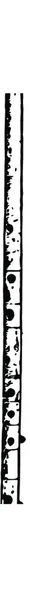 Аюлос Чорно Білий Вінтаж Векторні Ілюстрації — стоковий вектор