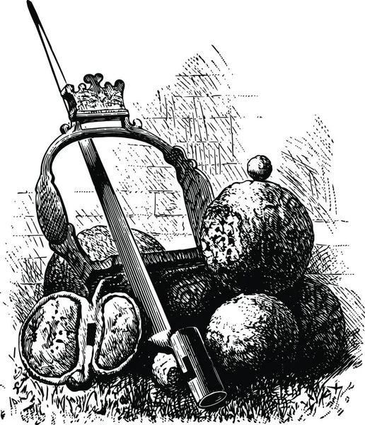 Relics Battle Monmouth Vintage Illustration — Stockvektor