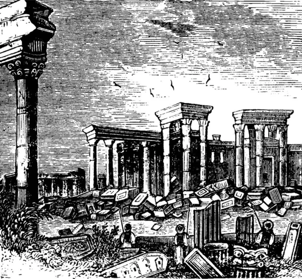 Palmyra Gravierte Einfache Vektorillustration — Stockvektor