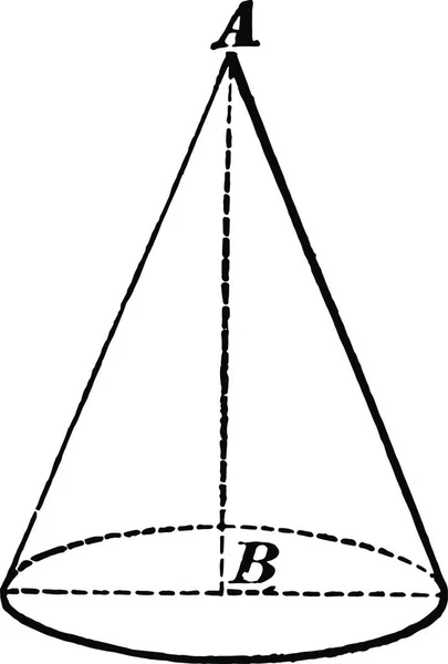 Kona Graverad Enkel Vektor Illustration — Stock vektor