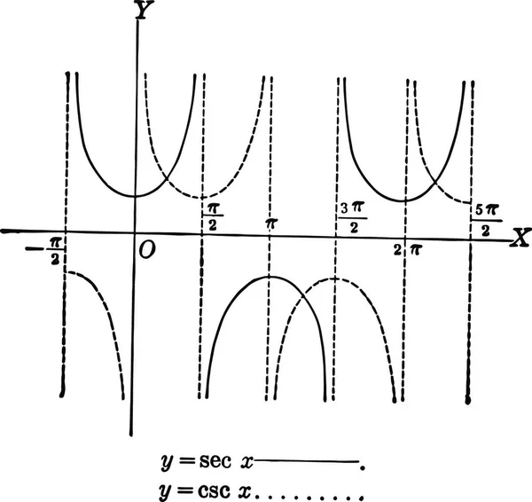 Sekantní Kosekantní Křivky Rytá Jednoduchá Vektorová Ilustrace — Stockový vektor