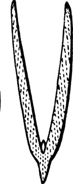 Siyah ve beyaz vintage vektör illüstrasyonunu ez