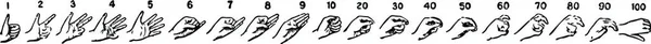 Números Mãos Ilustração Vetorial Simples Gravada — Vetor de Stock