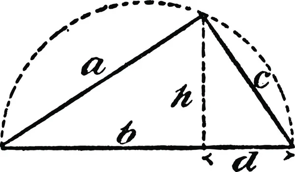 Rätvinklig Triangel Inskriven Semicirkel Vintage Illustration — Stock vektor