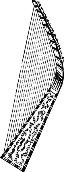 Черно Белый Винтажный Векторный Рисунок Арфы — стоковый вектор