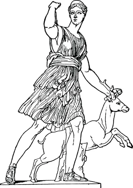 Artemisa Ilustración Vectorial Simple Grabada — Archivo Imágenes Vectoriales