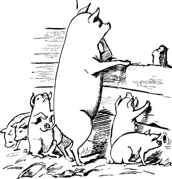 Świnia Prosięta Grawerowane Prosty Wektor Ilustracja — Wektor stockowy