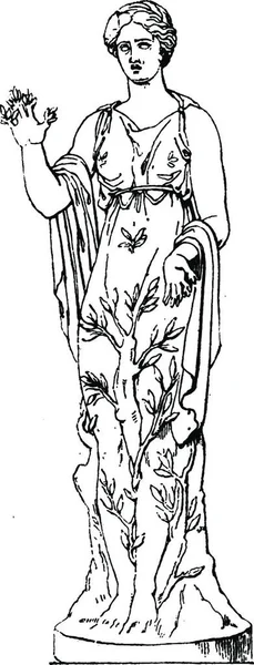 Винтажная Векторная Иллюстрация Дафны — стоковый вектор