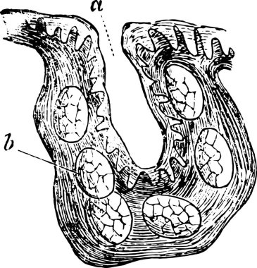Şifreleme, oymalı basit vektör çizimi