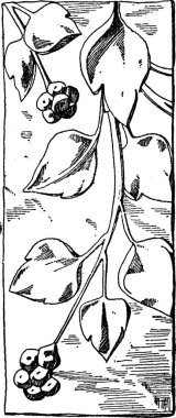 Vatikan 'dan Roma Sütunu, basit bir vektör çizimi