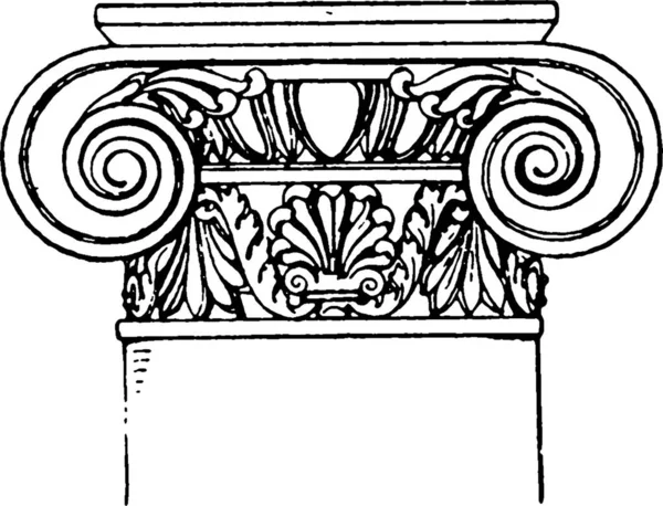 Римско Ионическая Столица Дизайн Свитка Свернутого Обеих Сторон — стоковый вектор