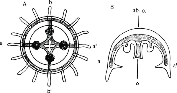 Medusa 雕刻的简单矢量图解 — 图库矢量图片