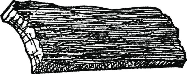 Винтажная Кора Простая Векторная Иллюстрация — стоковый вектор