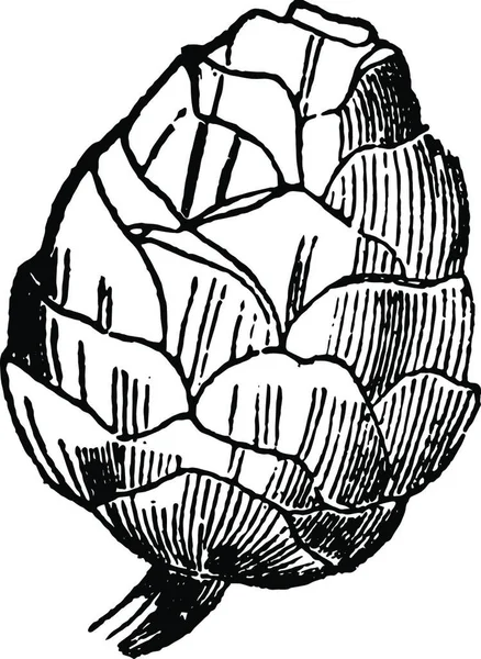 Cône Illustration Vectorielle Simple Gravée — Image vectorielle