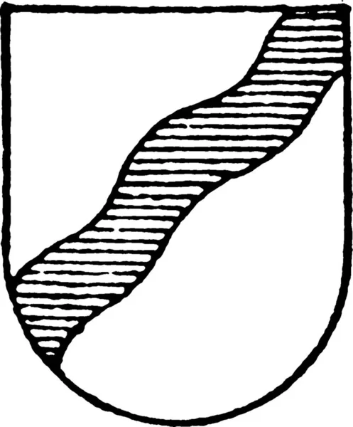 Аргентинський Звичайний Щит Вигравіруваний Простий Векторні Ілюстрації — стоковий вектор