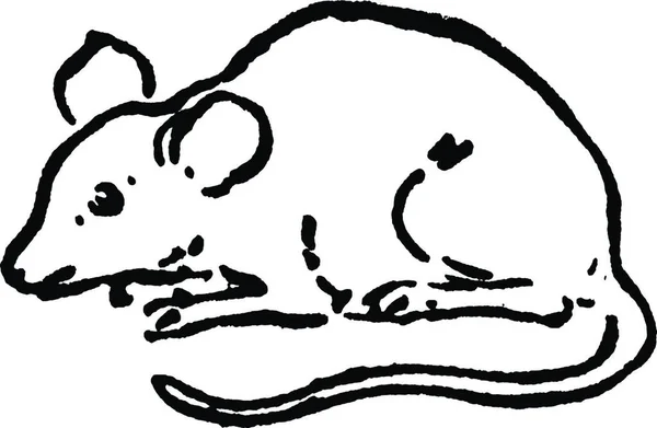 Myš Retro Vektorová Ilustrace — Stockový vektor
