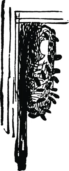 Bee Moth Μαύρο Και Άσπρο Vintage Διανυσματική Απεικόνιση — Διανυσματικό Αρχείο