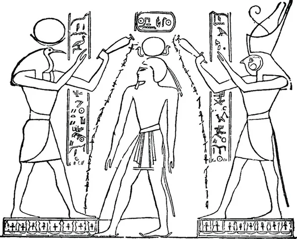 Ramses Iii Vintage Illustration — Stock Vector