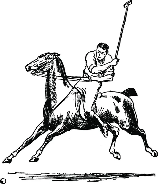 Винтажная Иллюстрация Поло Черно Белая Гравировка — стоковый вектор