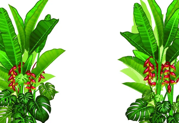 Tropical Ivy Plant and Flower in White Background Cartoon