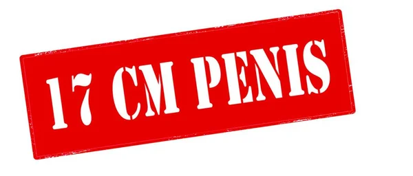 Seventeen Centimeter Penis Text Stamp Style Stamped White Background — Stok Vektör