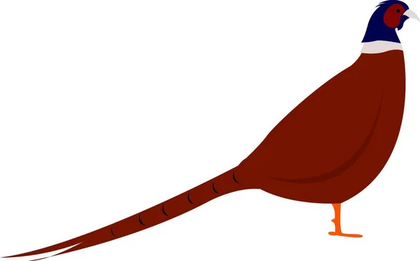 Pheasant Bird Illustration Vector White Background — Stock Vector