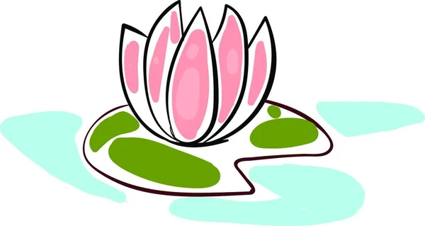 Water Lily Drawing Illustration Vector White Background — Stock Vector