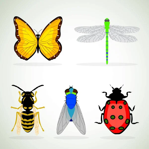 Insect Animal Bug Butterfly Dragonfly Bee Ladybug Icon Cartoon Vector — Image vectorielle
