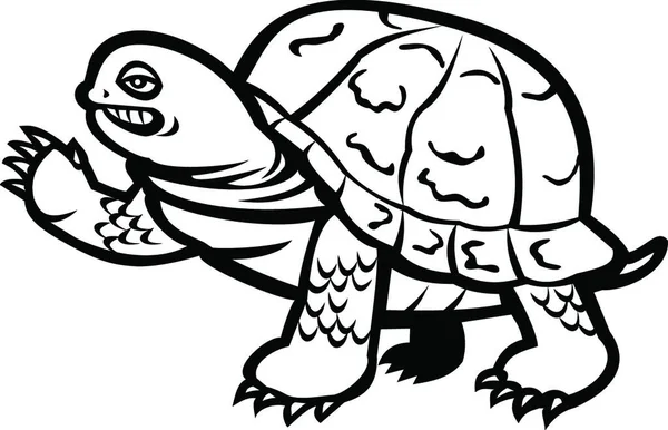 Eastern Box Turtle Waving Black White —  Vetores de Stock