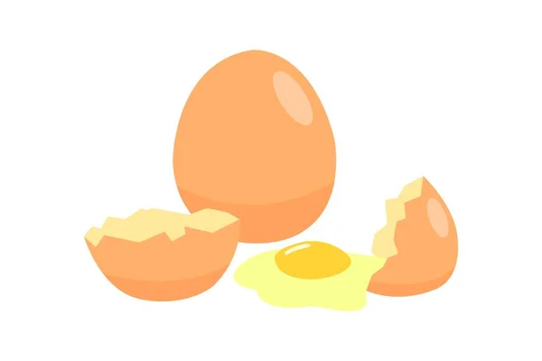 Eieren Geïsoleerd Witte Achtergrond Eieren Zijn Een Goedkope Bron Van — Stockvector