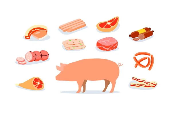 豚肉製品は広く消費されています 豚肉の加工品 — ストックベクタ