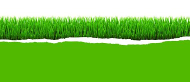 Картина, постер, плакат, фотообои ""green grass panorama with ripped paper white background"", артикул 622343416