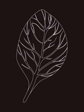 Siyah arkaplan üzerinde yaprak, vektör illüstrasyonu basit tasarım