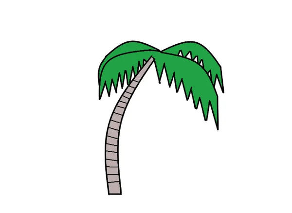 Illustration Palm Tree Vector Illustration Simple Design — Stock Vector
