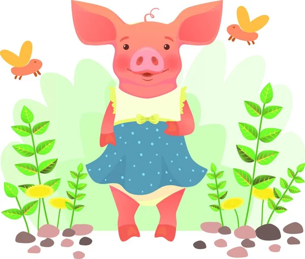 Piggy Dress Vector Illustration — Stock Vector
