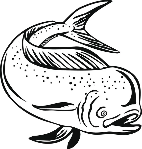 Dorado Mahi Mahi Pez Delfín Común Saltando Retro Blanco Negro — Vector de stock