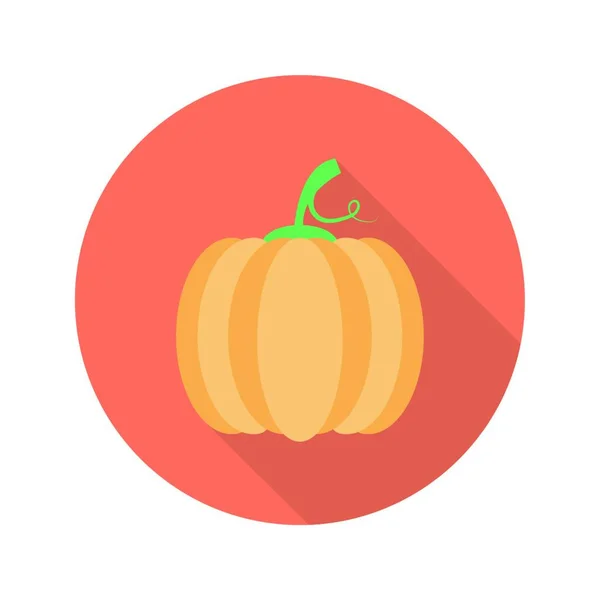 Pumpkin Icon Vector Illustration — Stock Vector