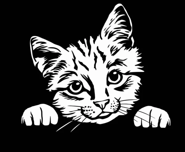 Peeking Kitty Glada Kattunge Kikar Katt Huvud Isolerad Svart — Stock vektor