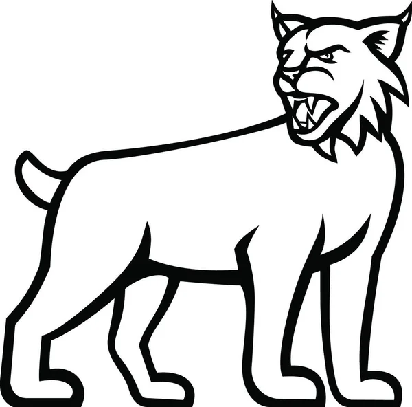 Bobcat Lynx Γάτα Στέκεται Πλευρά Mascot Άποψη Μαύρο Και Άσπρο — Διανυσματικό Αρχείο
