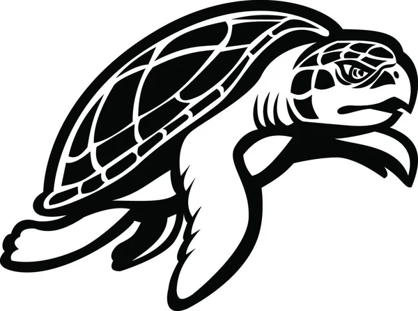 Морская Черепаха Кемп Поплыла Вправо — стоковый вектор