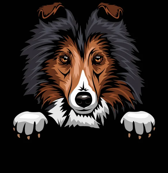 頭部Vizsla 犬の品種 白い背景に孤立した犬の頭の色像 — ストックベクタ