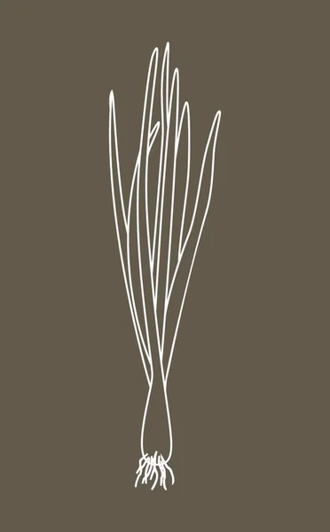 Onion Drawing Pattern Vector Illustration Simple Design — Archivo Imágenes Vectoriales