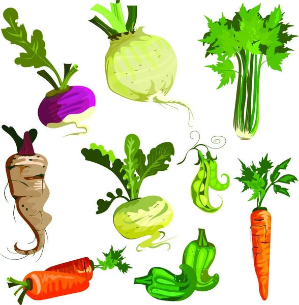 Warzywa Ogrodu Zestaw Wektor Ilustracja Prosta Konstrukcja — Wektor stockowy