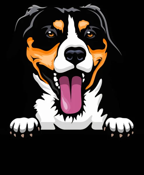 Cabeça Entlebucher Mountain Dog Raça Cão Imagem Colorida Uma Cabeça — Vetor de Stock