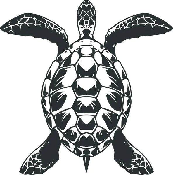 Vintage Schildkröte Draufsicht Konzept Vektorillustration Einfaches Design — Stockvektor