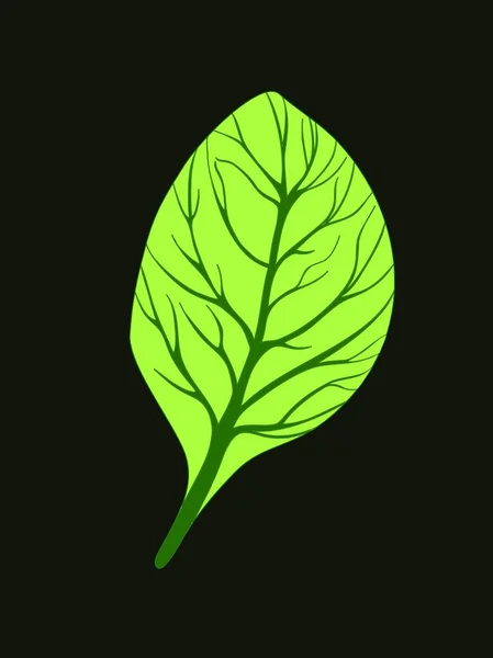 Grünes Blatt Auf Dunklem Hintergrund Vektorillustration Einfaches Design — Stockvektor