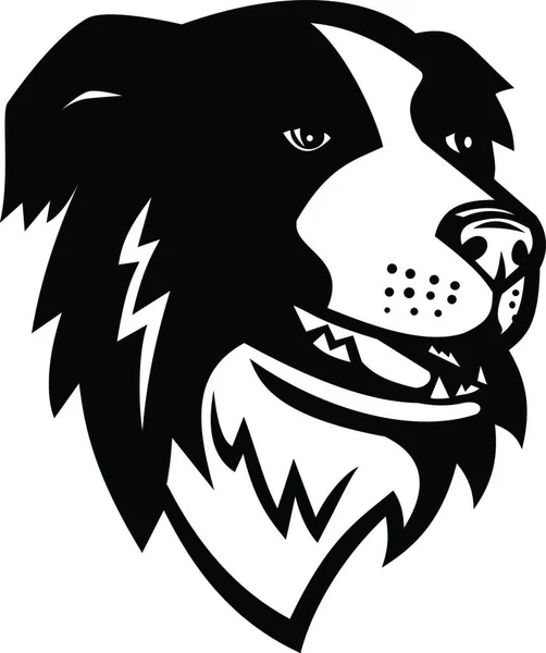 Head Border Collie Scottish Sheepdog Dog Mascot Black White — Stock Vector