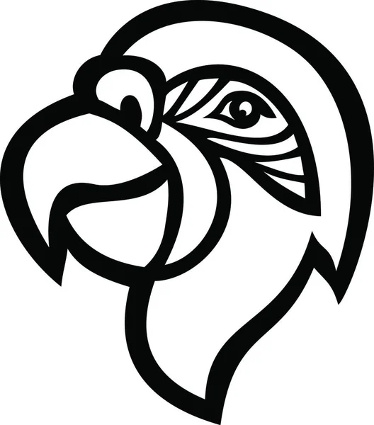 Szef Macaw Papuga Maskotka Boku Widok Czarny Biały — Wektor stockowy
