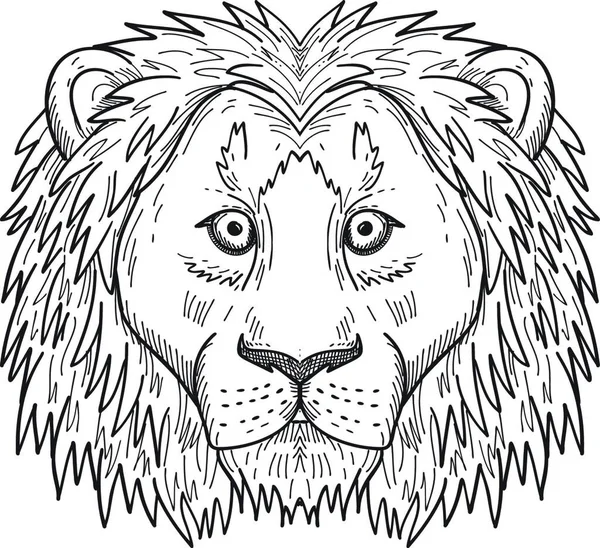 Head Coward Scared Lion Front View Black White Drawing — Stock Vector